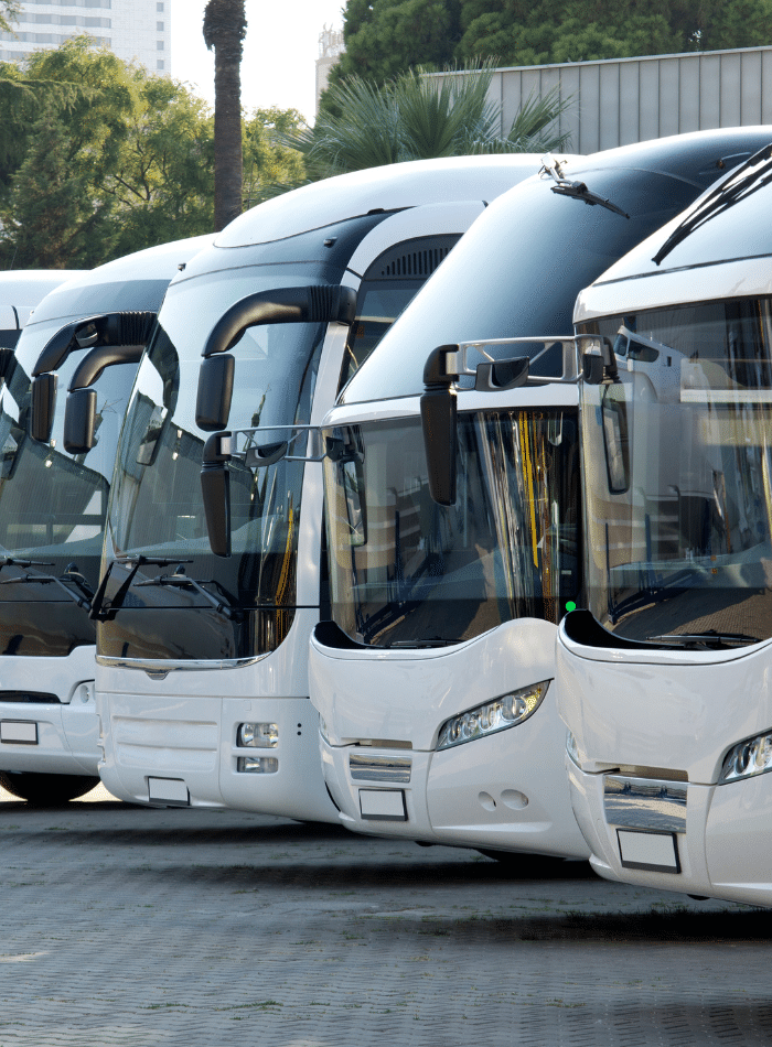 Bus alignés blancs