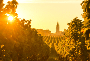 vignobles bordelais